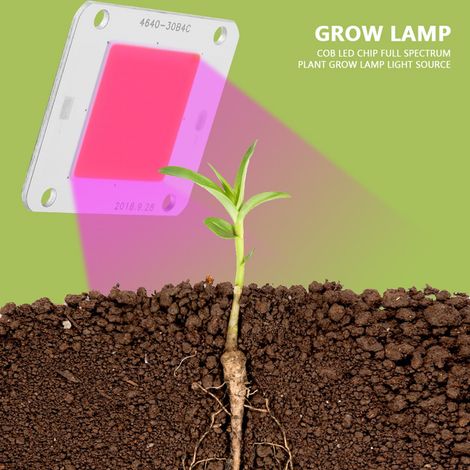 Vollspektrum-Pflanzenlampe mit 50-W-DC-COB-LED-Chip (1/5)