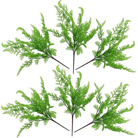 6 x 50cm Southern Wood Fern Bush Dark Green Plant (1/4)