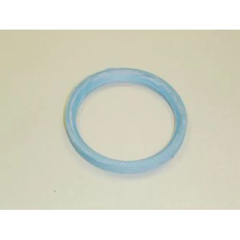 Remeha Elemento di tenuta DN 60/Blu, 0284798