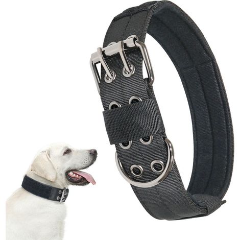 Collier ajustable pour chien type militaire avec anneau en D métallique, résistant et pratique pour la promenade et l'éducation canine (1/5)