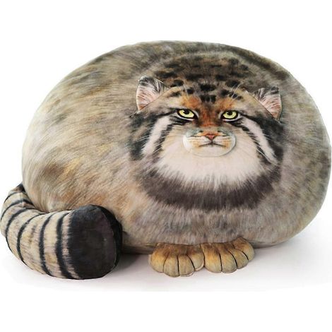 Pallas-Katzen-Plüschkissen, entzückendes, weiches Plüsch-Steppenkatzen-Kissen (1/5)