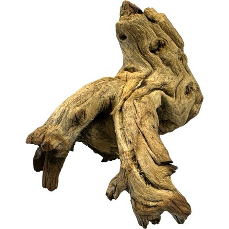 BioRoot Legno di Mopani M / 20-30 cm / Radice di Mopani per terrario e acquario (1/5)