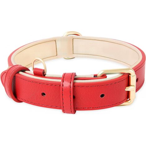 Collier pour Chien, en Cuir, Collier de Chien Ajustable Coussin Moelleux Cuir Nouvelle Couleur de Rembourrage pour Petits, Moyens ou Grands Chiens, Nouveau Rouge, S (1/5)