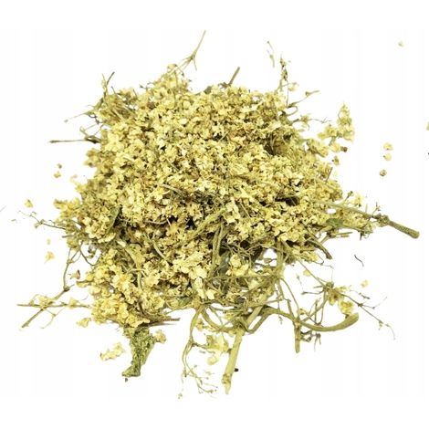 FLEURS DE SUREAU NON OUVERTES 1 KG 100% NATURELLES