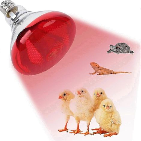 Lampe chauffante pour poussins et reptiles, 220 V E27, lumière infrarouge rouge 275 W (1/5)