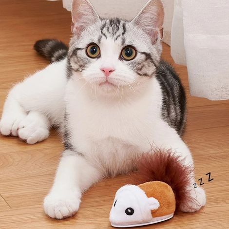 Jouet interactif chat et souris, robot souris automatique, bâtonnet de jeu pour chat alimenté par piles (1/5)