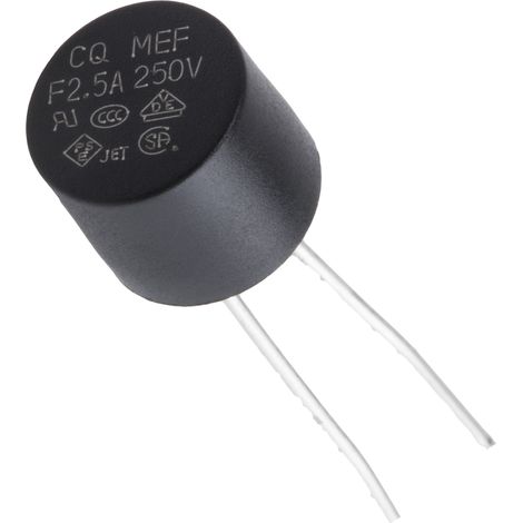 Fusible non réarmable filaire RS PRO, Sortie Radiale, 2.5A, type F 250V
