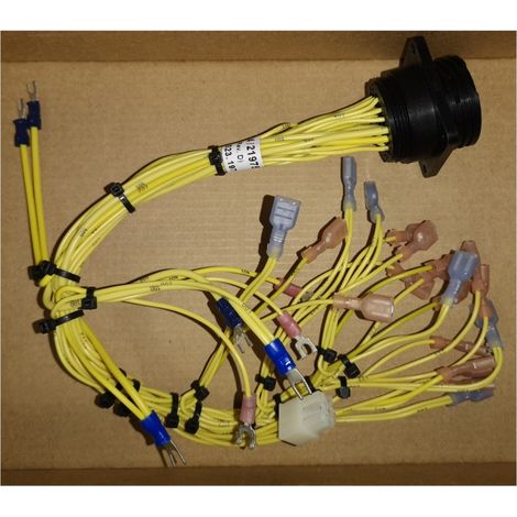 Molex 184/21975 Electrical harness