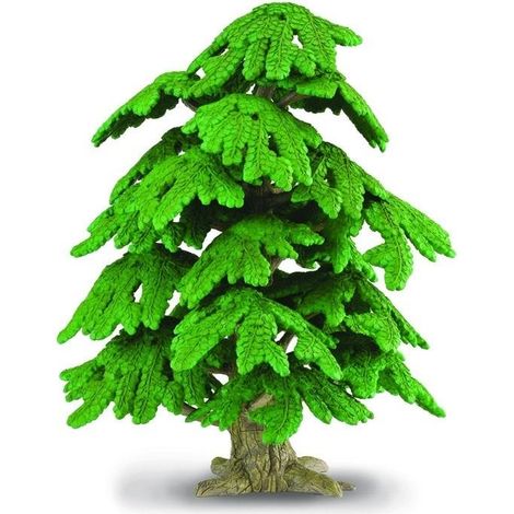 Albero di Ginkgo Biloba