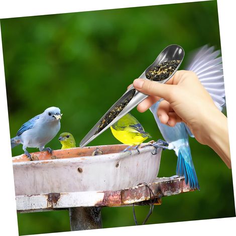 2 Pièces Cuillère Acier Inoxydable pour Oiseaux avec Pelle Accessoires Alimentaires pour Perroquets et Petits Animaux Alimentation Facile et Pratique (1/4)