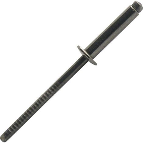 Rivet inox tete plate a2 diam 4 8 x 10 mm - sbox de 250
