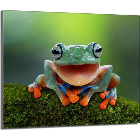Placa protectora de vidrio para estufa 60x52 Frog (1/5)