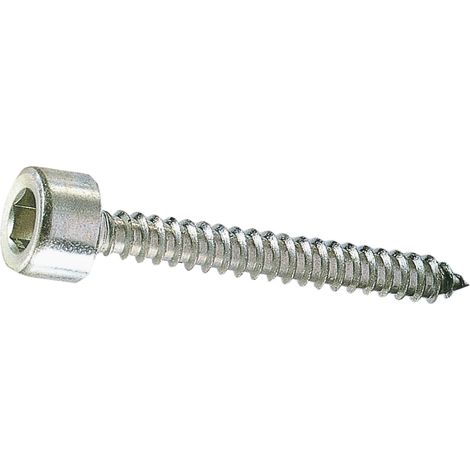 VITI AUTOFILETTANTI TCEI 4,8X38 EXPORT- AMBROVIT- 5,0 centinaia