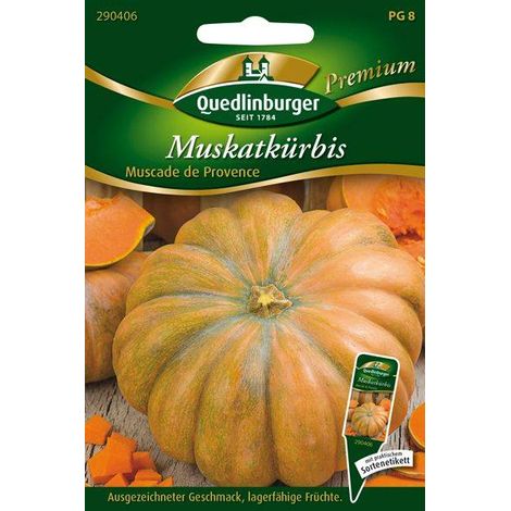 Quedlinburger Muskatkürbis Muscade de Provence - Gemüsesamen