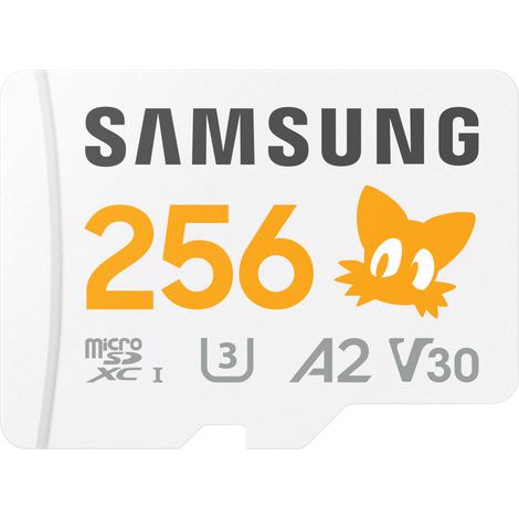 Samsung MB-MD256S 256 GB MicroSDXC UHS-I Klasse 10 (1/4)