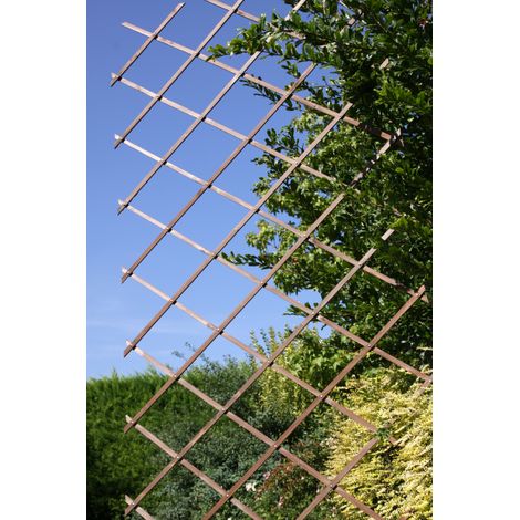 GRIGLIATO GELSOMINO O GLICINE ESTENDIBILE 180x45 cm  Caratteristiche Alce: Glicine