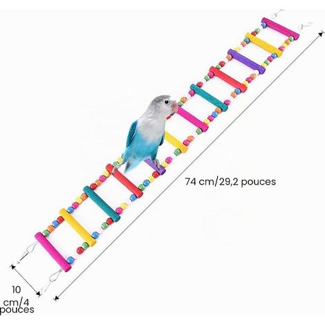 Jouets pour Perroquet, échelle, balançoire, Pont pour perroquets, perruches, Conures (1/4)