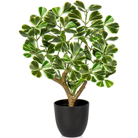 Kunstpflanze Ficus 43CM Schwarzem Topf Deko Fensterbank Bad Wohnzimmer (1/5)
