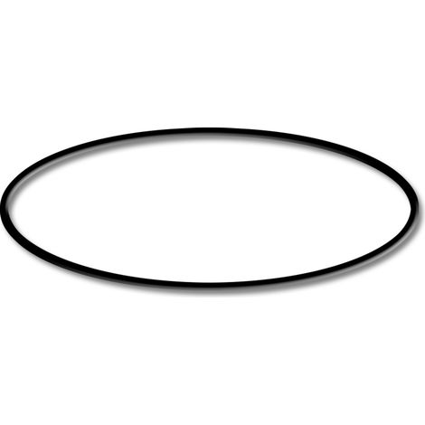 Pezzo di ricambio: O-ring 2 per filtri a sabbia per laghetti SunSun CSF-500 (1/3)