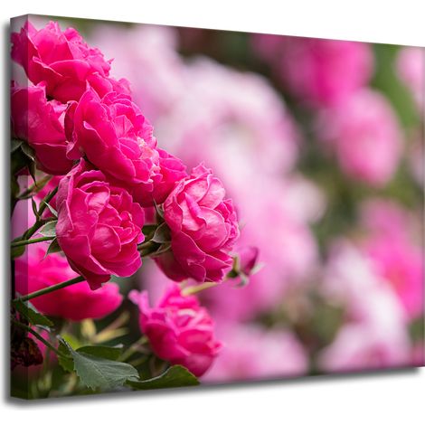 Leinwanddruck „Botanische rosa Rosen“, 50 x 40 cm