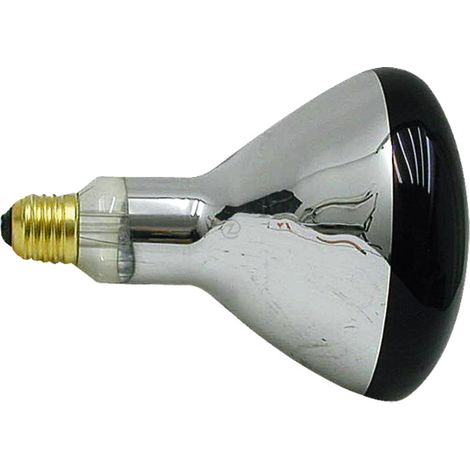 Ampoule chauffante - infrarouge - 150 W - Universel
