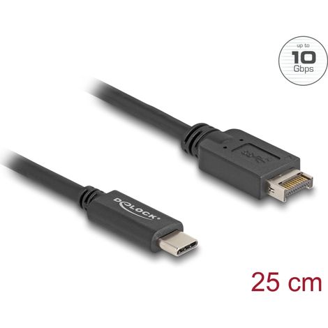 Delock Cable USB 10 Gbps Key USB Tipo-E A 20 pines macho a USB Type-Câ¢ macho 25 cm