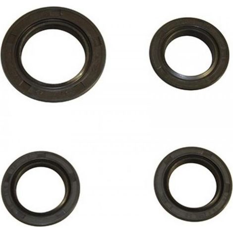 dichtung spi motor p2r für roller roller chinesisch neu