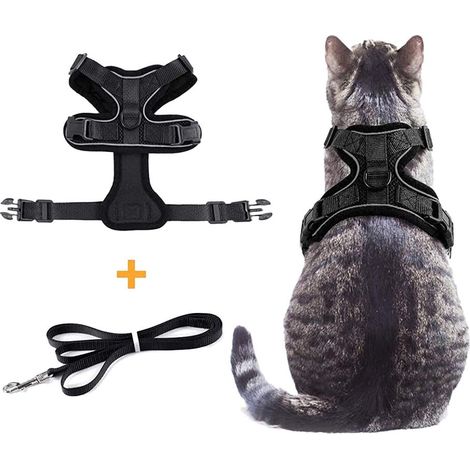 Harnais anti-fugue pour chat avec laisse, réglable et confortable - Équipement de promenade sécurisé pour chats (1/5)
