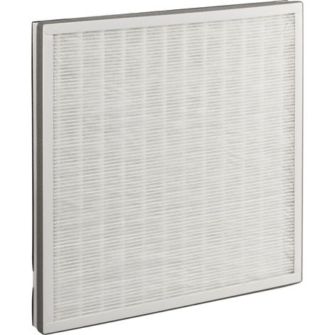 Filtro HEPA blanco de alta eficiencia Beurer LR-300/310 (1/3)