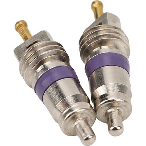 Lot de 2 obus de valve de climatisation automobile – Obus de rechange pour systèmes de climatisation Mercedes-Benz