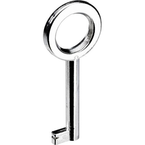 Hettich Buntbart-Schlüssel vernickelt glanz 65 x 4 mm Stahl, 1 Stück Möbelbeschläge