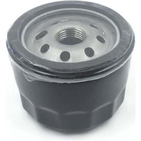 Filtre à huile compatible avec le carburateur 640065 pour tracteurs tondeuses OHV 110 et OHV 115