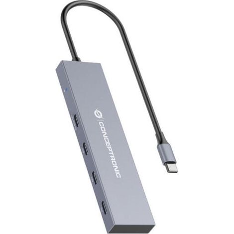 Hub USB Conceptronic HUBBIES14G Gris (1/4)