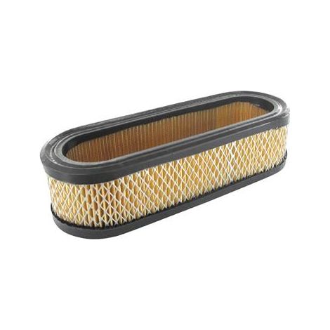 Filtre à air BRIGGS ET STRATTON 394019 (1/4)
