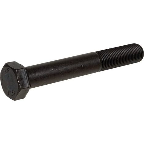 Vite M 16x1,5x110 DIN 960-12 RABE 960D1615110M