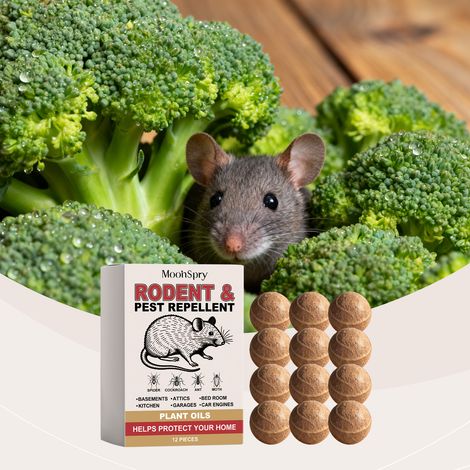 Ratten- und Insektenabwehrpellets, vielseitig einsetzbar, zum Schutz Ihres Zuhauses vor Nagetieren und Nagetieren, schonend, praktisch und einfach anzuwenden – 12 Stück -- BIEMMEDUE (1/5)