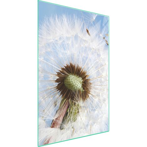 Planche à découper en verre 35x52 à fleurs (1/5)