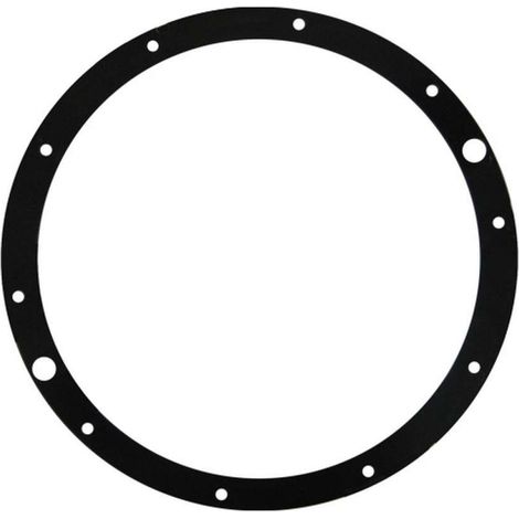 Hayward – Joint de bride pour projecteur de piscine – Compatible SP0512 Eurolite 300W – Diamètre extérieur 311 mm – Épaisseur 2 mm – Pièce d'origine