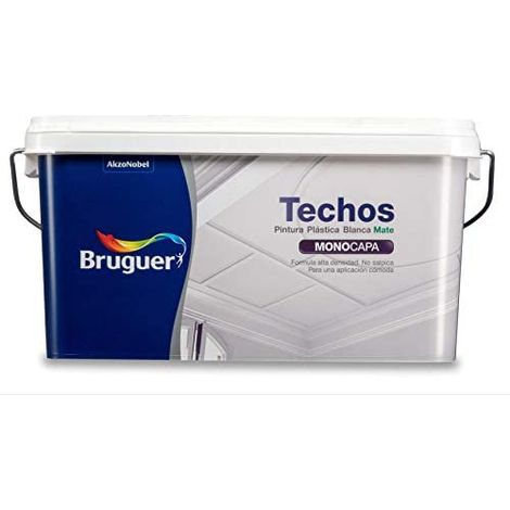 BR WP Peinture Toit 2,5L 5159753 BRUGUER (1/4)