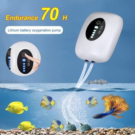 Pompe à Air pour Aquarium, Rechargeable par USB, 2w, double sortie, fonctionnement silencieux, performant oxygène pompe (1/4)