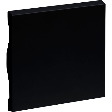 Schalter Legrand seano Thermoplast IP20 8x13 cm (1/3)