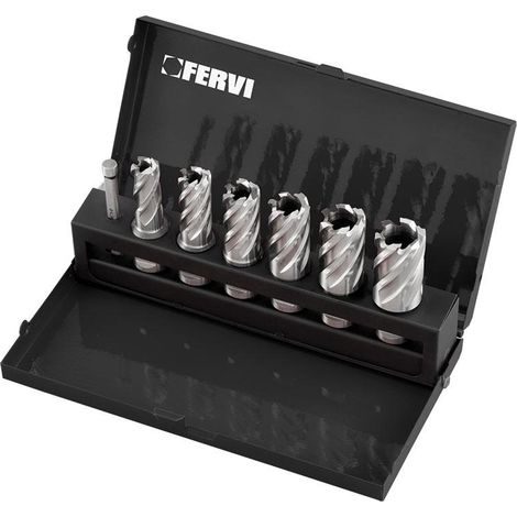 Set 12 Fraser 12-22mm mit Weldon-Aufsatz fuer Magnetbohrmaschine Fervi f011/6