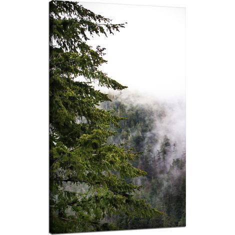 Leinwanddruck Natur Berge Nebelwald 70x120
