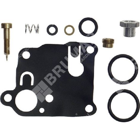 Reparatursatz für BRIGGS & STRATTON Vergaser - 006638