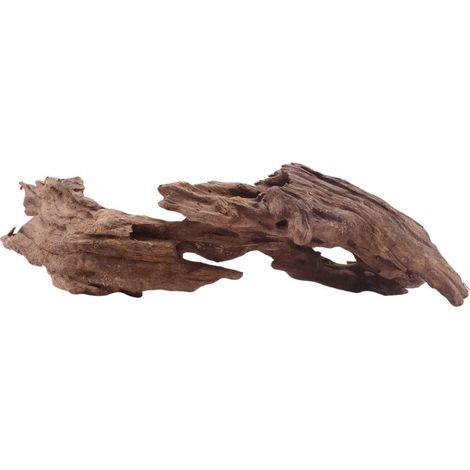 M Honey Comb Wurzel Nr.5195 Holz Deko Aquascaping