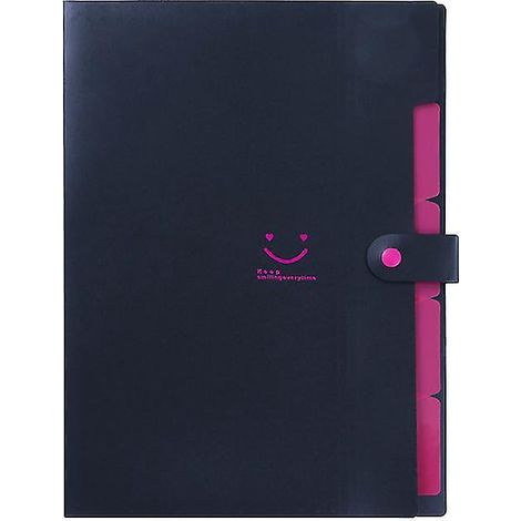 5 Stück 5-Taschen-Ordner