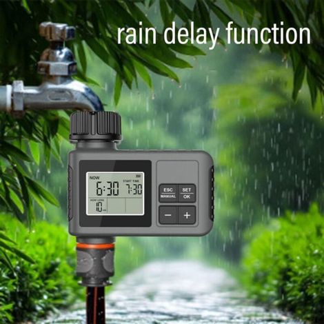 Minuterie d'arrosage intelligente - - Programmable - Retard de pluie - Système manuel - Filetage mâle 3/4 po (1/4)