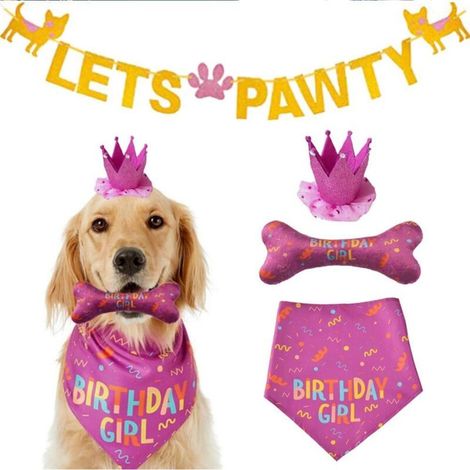 Décoration d'anniversaire pour chiots, Rose (1/5)