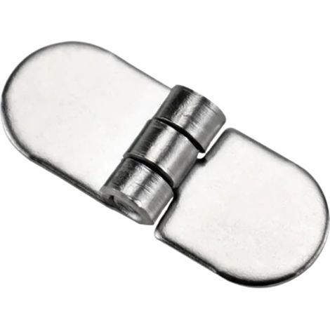 Charnière de porte circulaire en inox non perforée 25x10mm (1/4)
