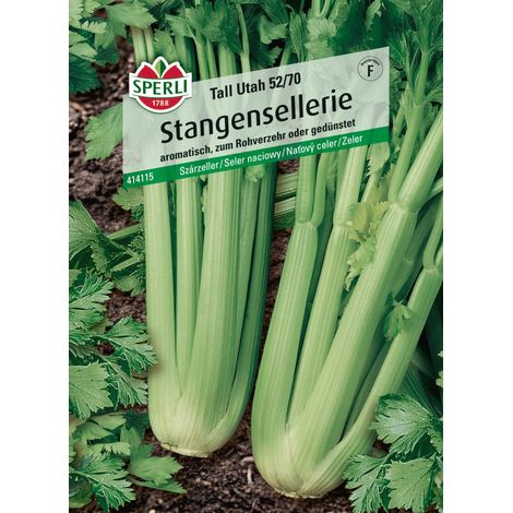 Sperli Saatgut Stangensellerie Tall Utah 52/70 für ca. 250 Pflanzen (1/2)